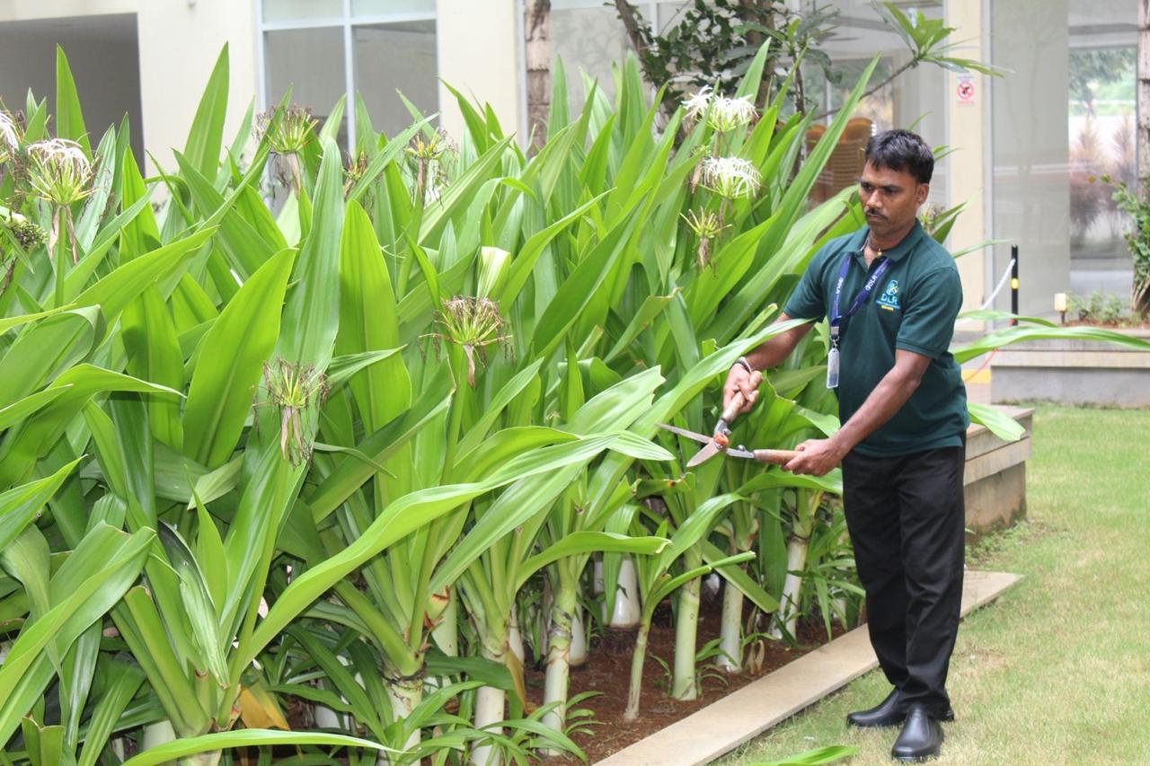 DLR FMS Garden Maintenance